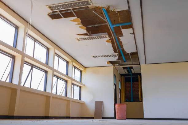 Best Water damage cleanup near me  in Stallion Springs, CA