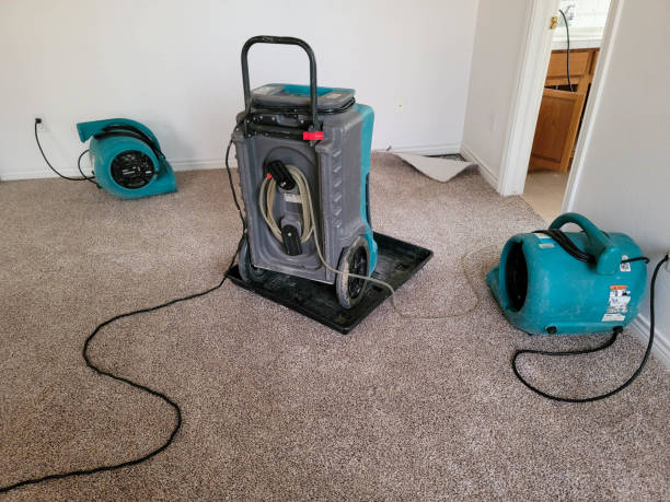 Best Water damage contractors near me  in Stallion Springs, CA
