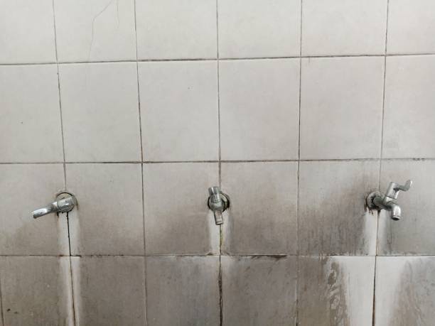 Best Water damage repair service  in Stallion Springs, CA