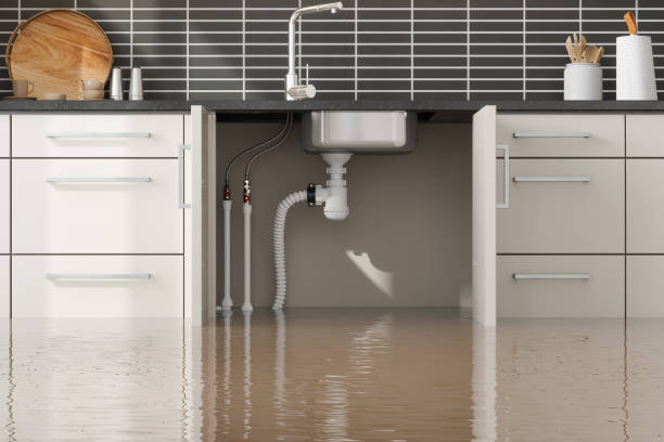 Best Basement water damage restoration  in Stallion Springs, CA