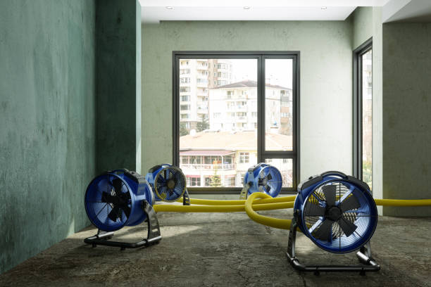 Best Emergency water damage restoration  in Stallion Springs, CA