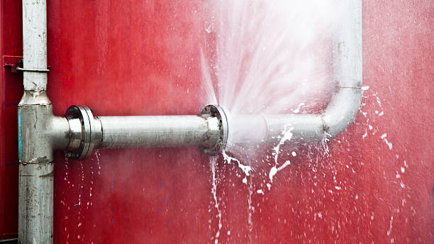 Best Water damage restoration experts  in Stallion Springs, CA